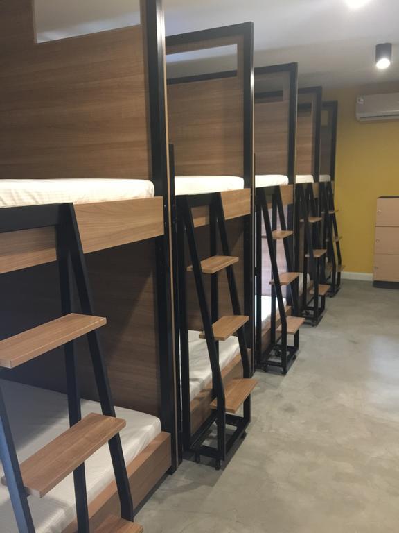 Bunk Bed Mixed Dormitory Room